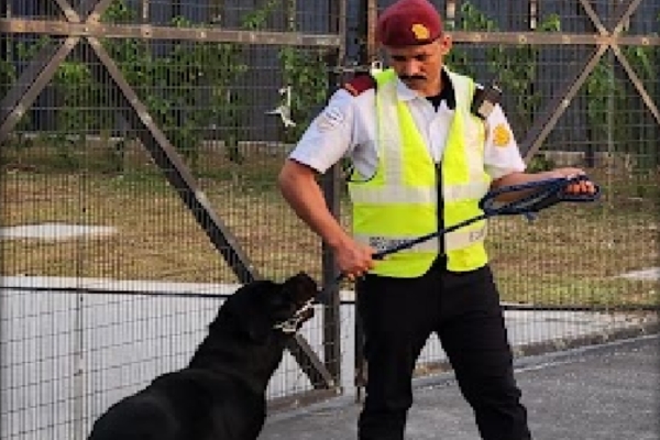 bumimasprotection services img (12)